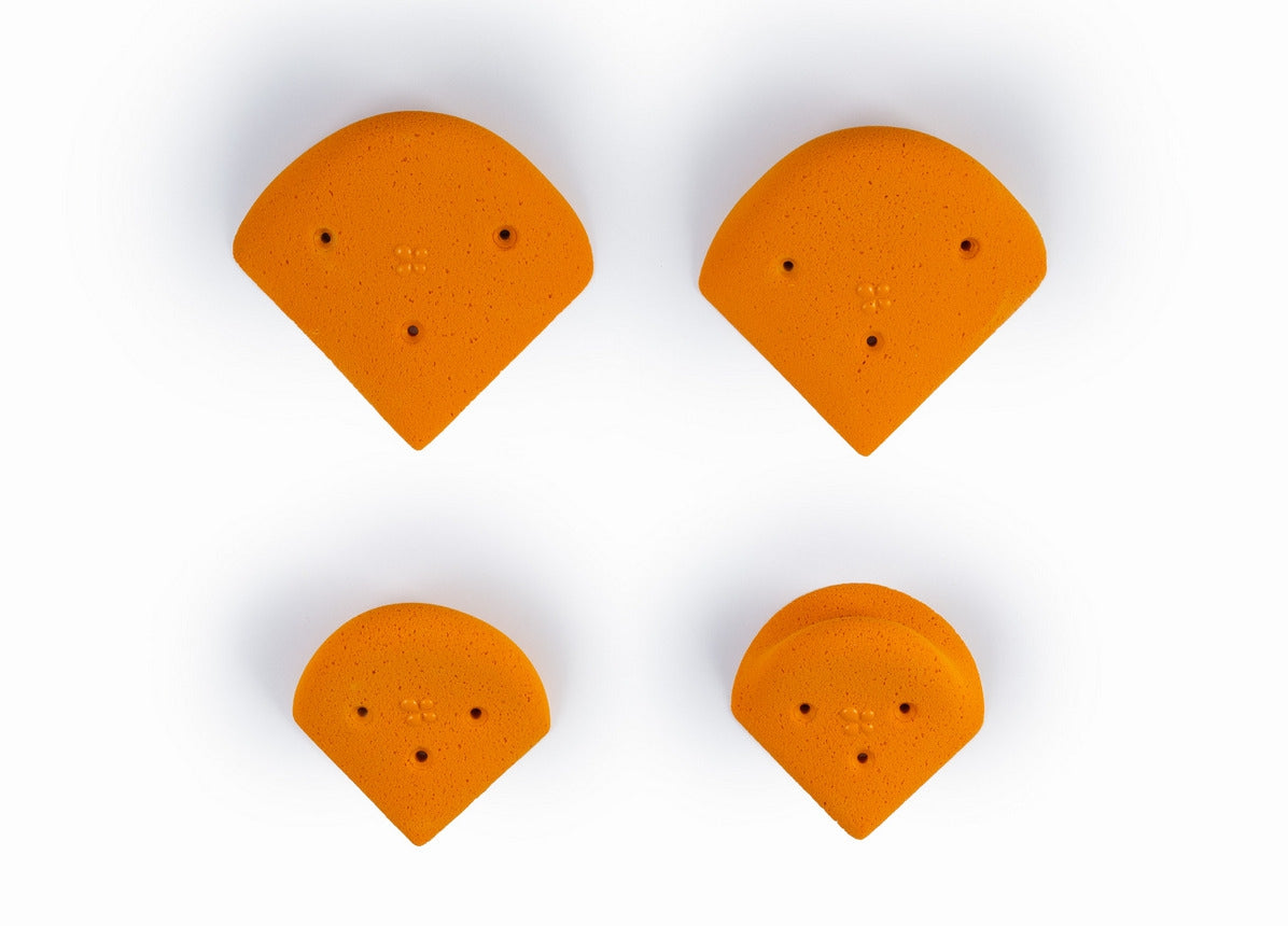 Petals - Petal Edges 01