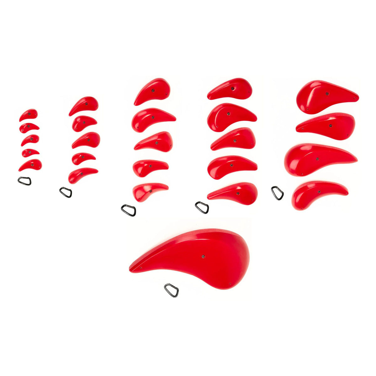 Belly Busters - Gamme Complète (-5%)