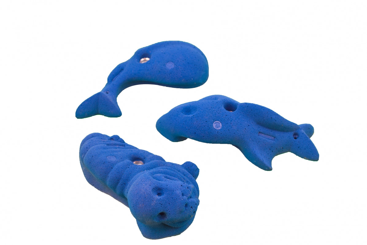 Animals and Toys - Sea Life Mondo Jugs
