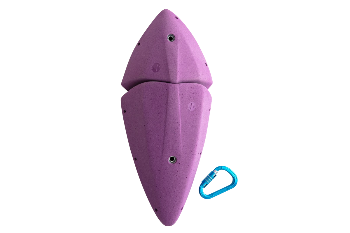 Essentials - Shield Edges XXL